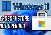 Microsoft Store Not Opening in Windows 11